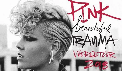 图片[1]-P!NK(粉红佳人)：[2000-2023年]所有完整歌曲收录专辑合集打包下载[无损FLAC/MP3/10.06GB]-DD猫音乐网